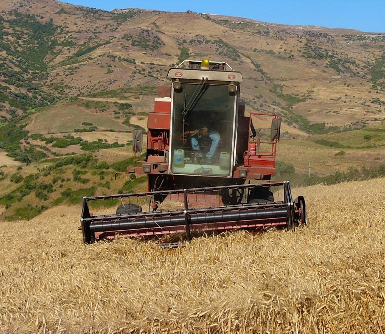 La Sardegna cresce al rallentatore, ma crolla l’agricoltura 