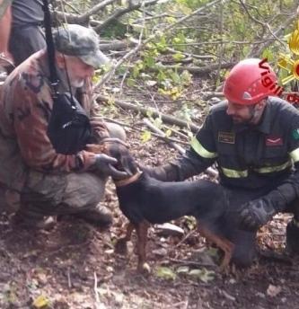 Cercatrice di funghi cade nel greto del fiume