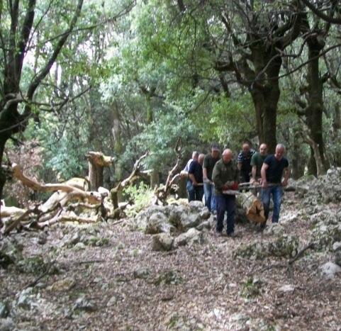 Operai Forestas: «Assunzioni sbloccate per i comuni virtuosi» 