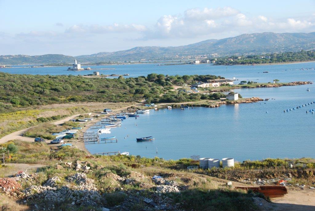 Allarme batteri a Olbia, nuovo stop alla raccolta delle cozze nel golfo 