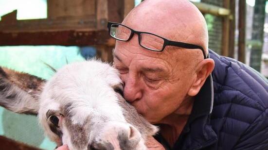 Luigi De Vicenti abbraccia e bacia l'asinella Perla (Foto Bf)