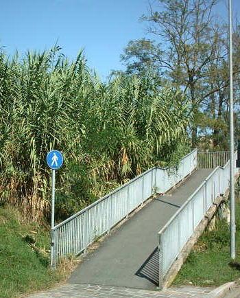 Verifiche sulla passerella sul torrente Agliena 