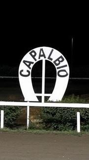 La Torricella rivuole le corse di galoppo 