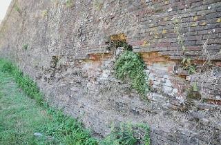 Il paramento delle Mura danneggiato: si attendono fondi da Roma