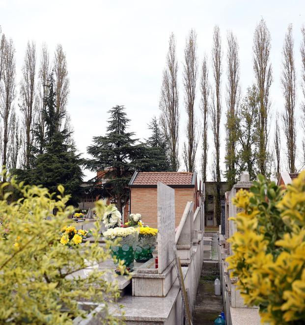 C’è un filare di pioppi da abbattere Al cimitero non si entra 
