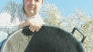 Pretelli alla raccolta delle olive e sopra, la frangitura