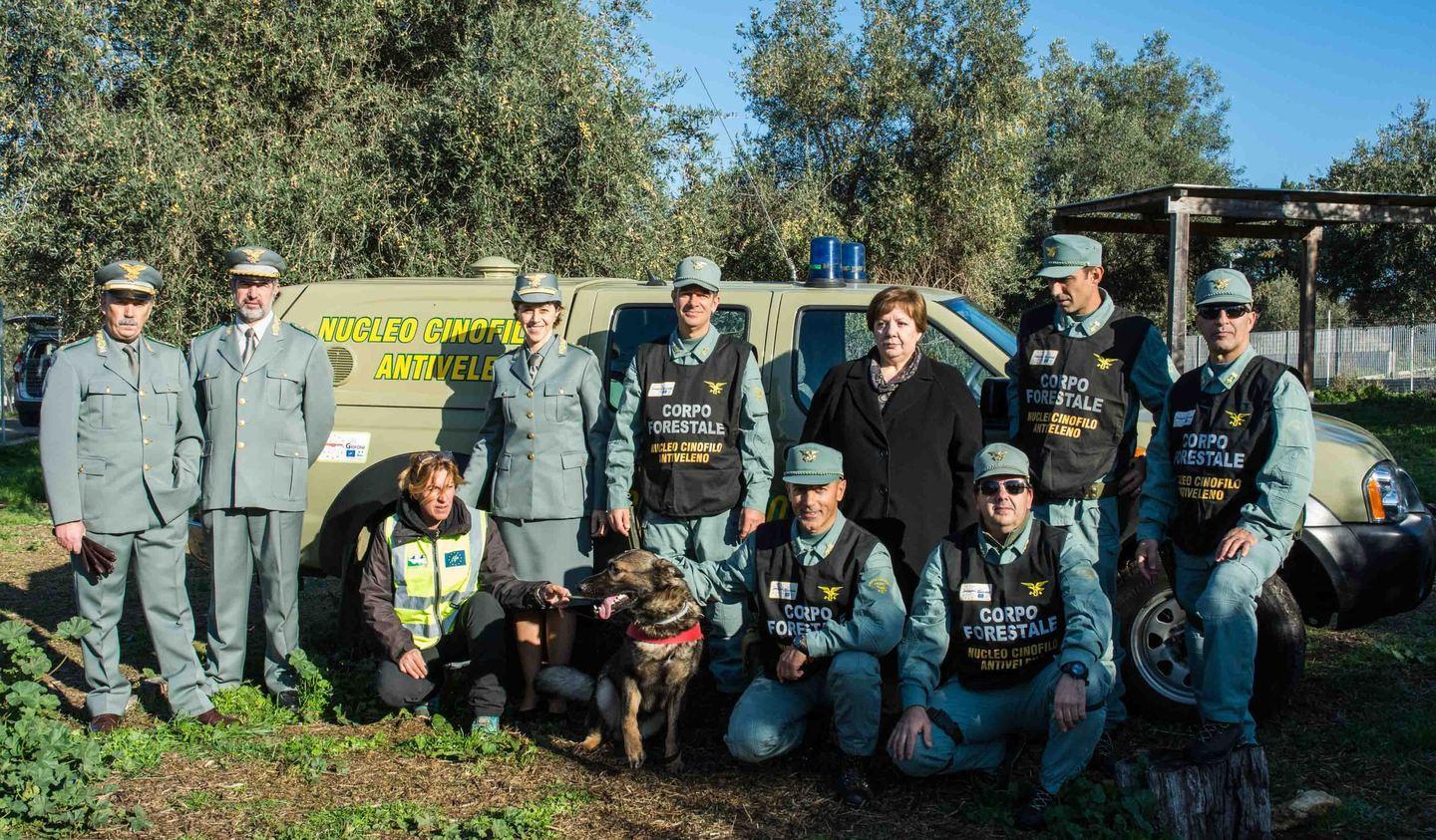 Sassari, strage di animali con le esche avvelenate 