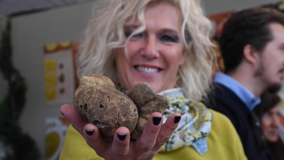 Riuniti in una Compagnia 100 ambasciatori del tartufo