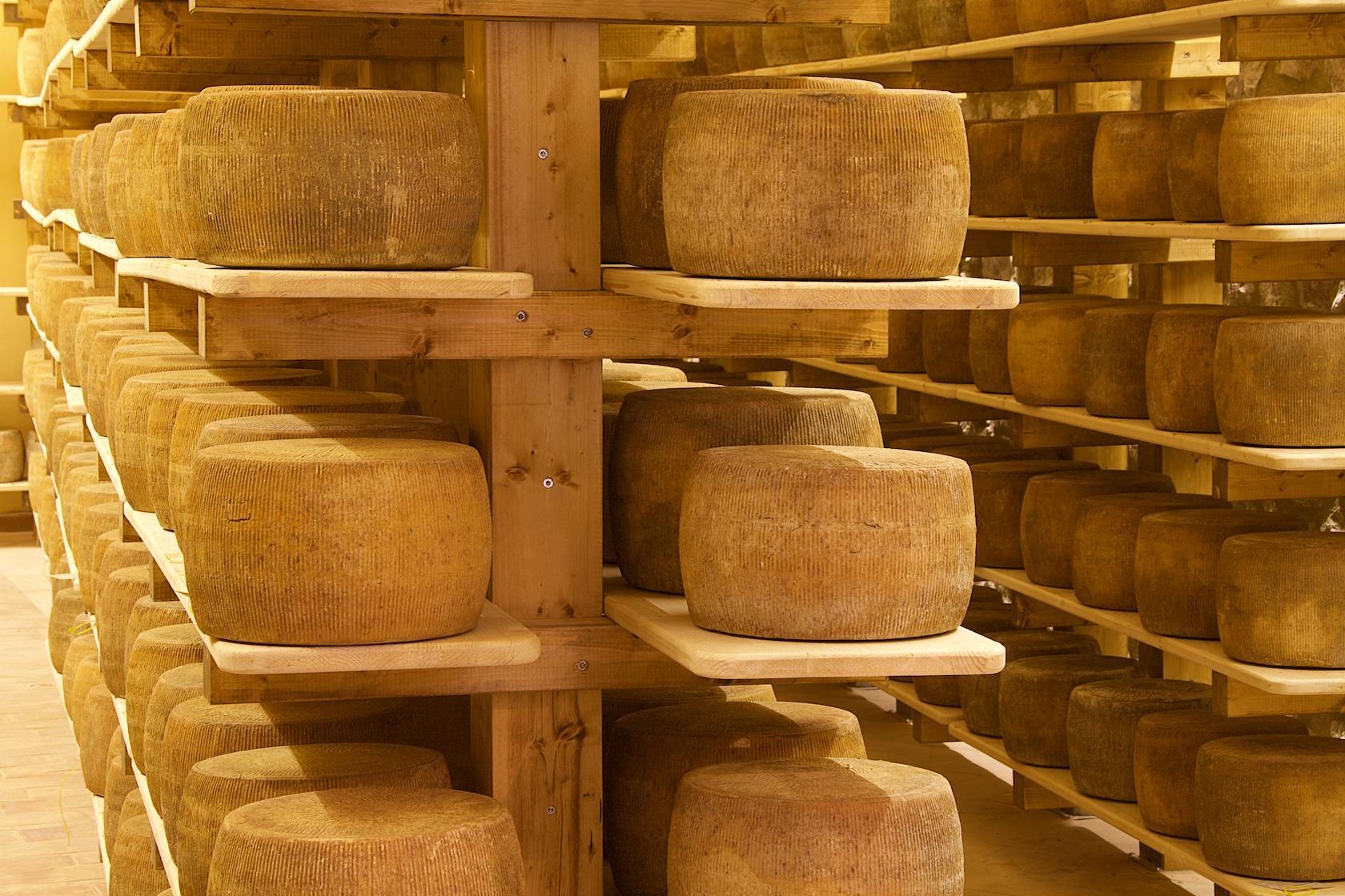 I formaggi del Fiorino spopolano in Norvegia 