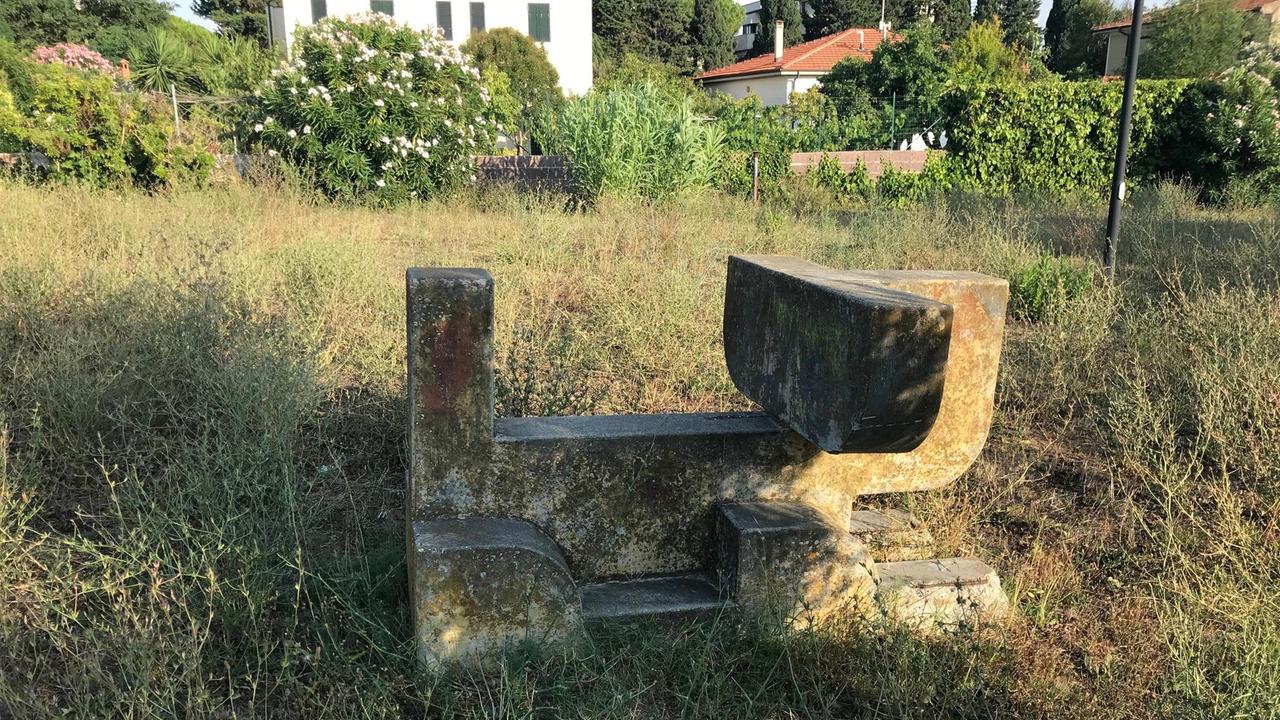 Erba alta segnalata più volte nel parco di Caletta