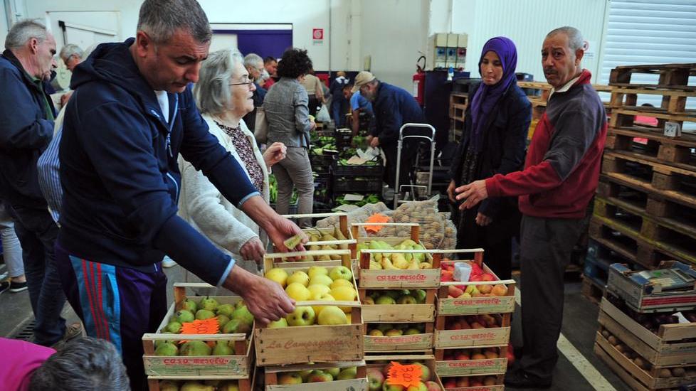 Al mercato ortofrutticolo. Fare la scorta di frutta e verdura? Qui ti aspettano i piccoli produttori