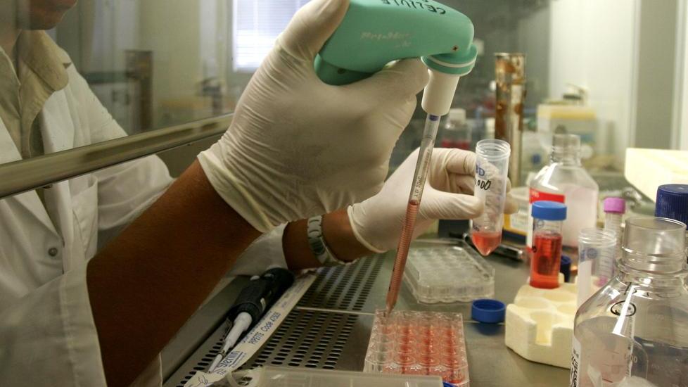 «Troppi antibiotici e pochi vaccini»