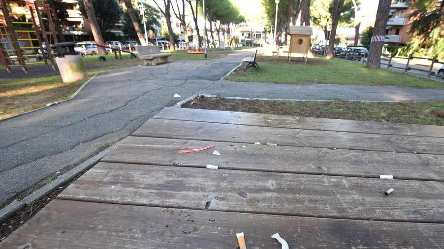 «Sporcizia sui tavoli e deiezioni dei cani al parco per bambini»