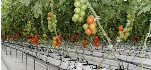 L’imprenditore hi-tech sostiene la Città che danza 