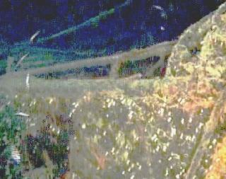 Il Parco a caccia delle navi dei veleni