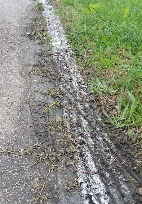 Riga nel fango e ciclabile Strade, Lega all’attacco 