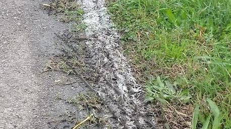 Riga nel fango e ciclabile Strade, Lega all’attacco