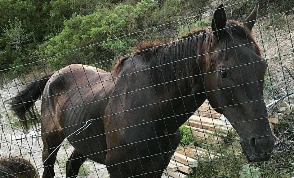 «Un campione e non lo sapevo» 