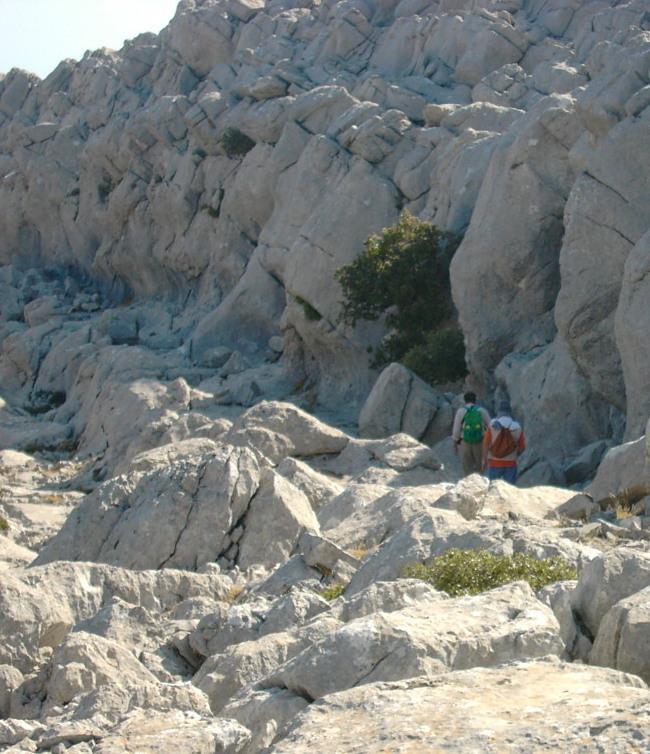 Mab Unesco, in Baronia è il momento dei progetti 
