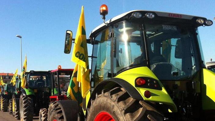 Il settore zoo-agricolo fa festa e si lecca le ferite del maltempo