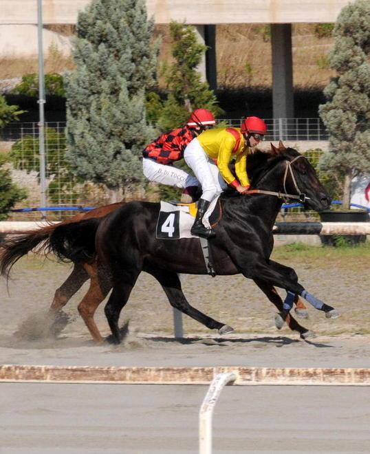 Premio Perelli il clou all’ippodromo dei Pini