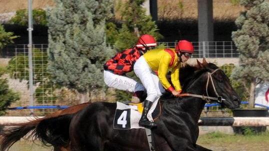 Premio Perelli il clou all’ippodromo dei Pini