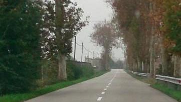 Tra Cologna e Copparo ritornano le strisce