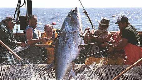 Carloforte nel Tuna Route, la pesca del tonno rosso diventa network europeo
