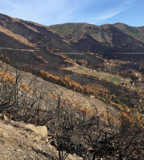 Una firma per il Monte Pisano, ultimi giorni per sostenere la montagna ferita dall'incendio 