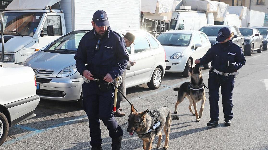 Una pattuglia del Nucleo Cinofilo della polizia municipale Terre Estensi