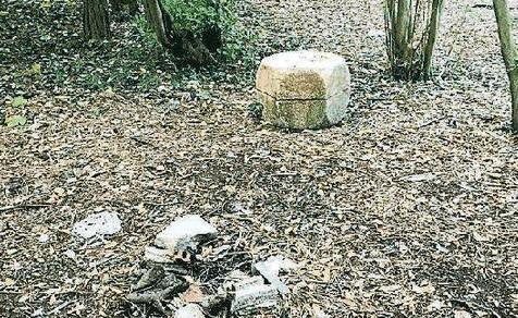 Sporcizia nel parco di Caletta