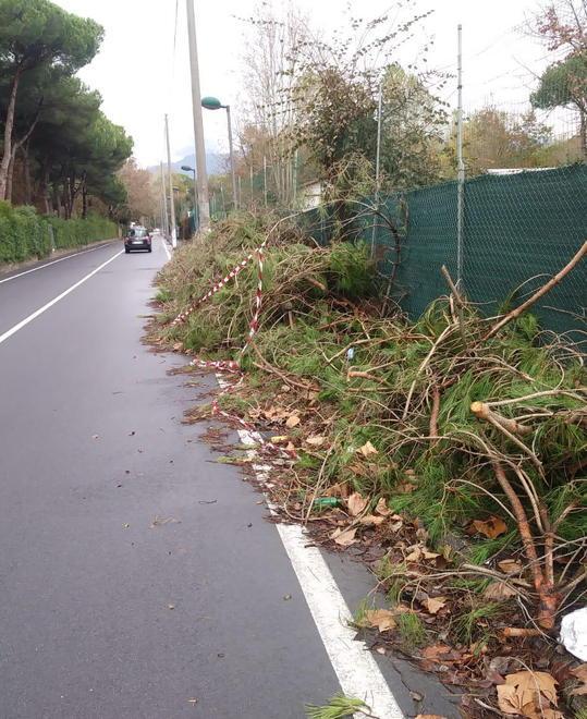 «Rami e sfalci ammassati sono lì dal 29 ottobre...»