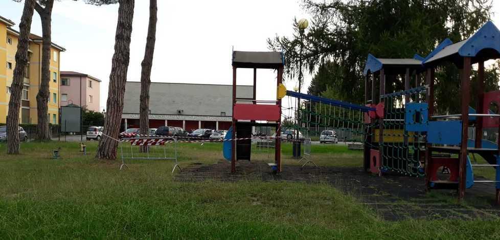 Sette nuovi pini saranno piantati nel parco degradato 