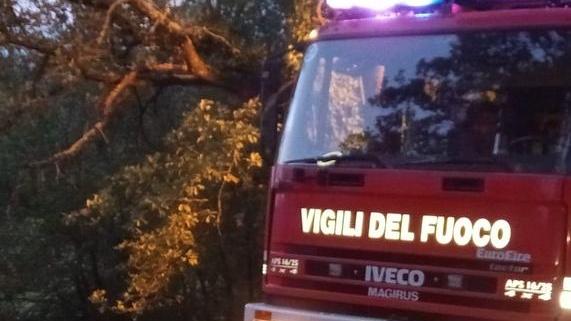 Trovato un cadavere sul Monteferrato Forse è uno scomparso