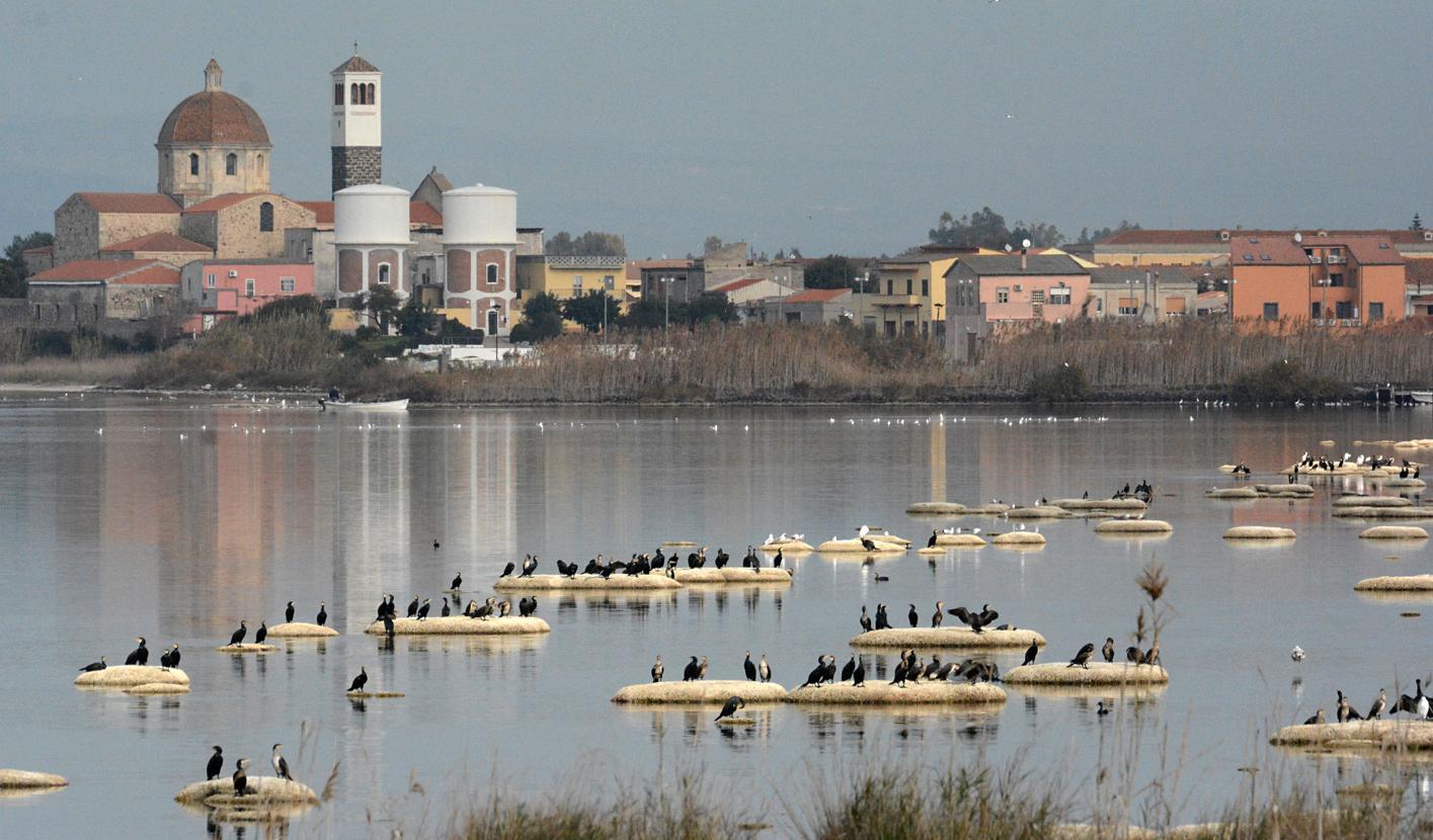 «Cormorani, intervenga la Ue» 
