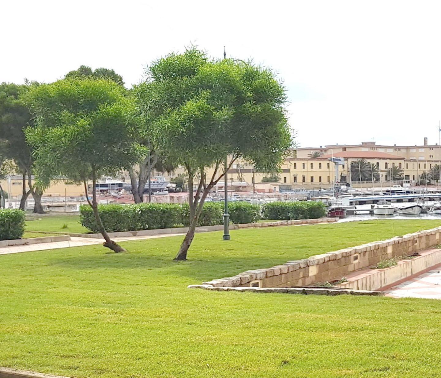 Il Comune investe un milione per rifare il verde nei quartieri 