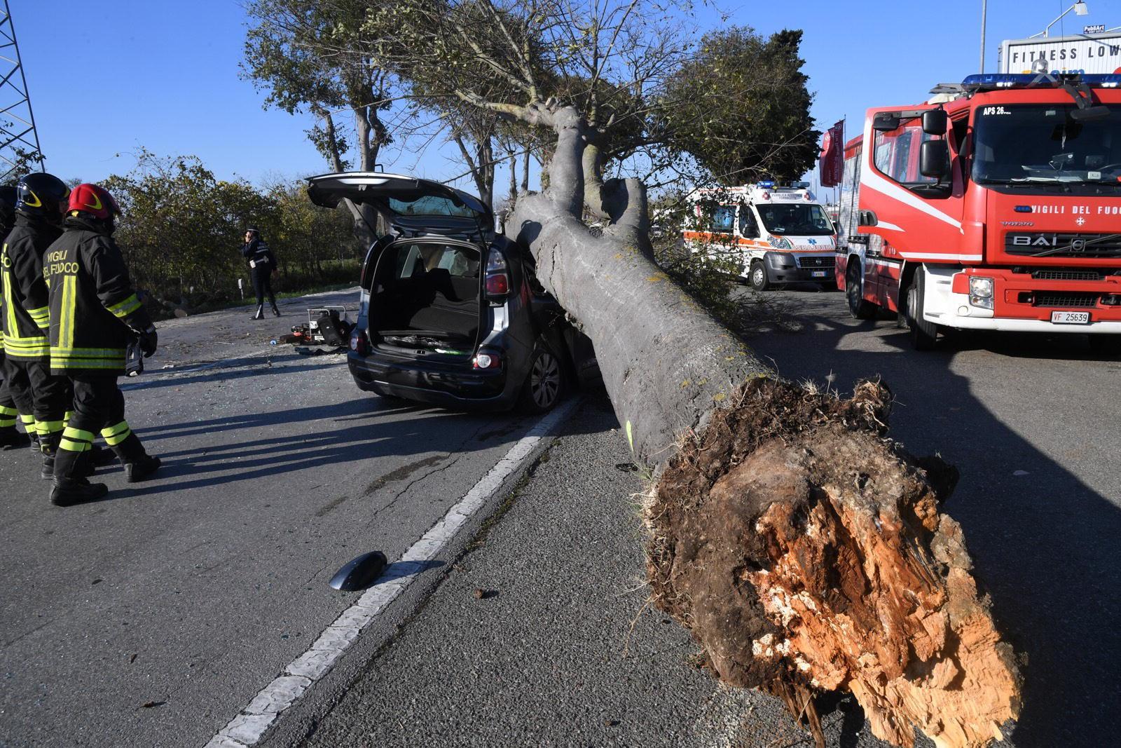 L'albero caduto sull'auto al Chiesino di Pontedera (Foto Franco Silvi)
