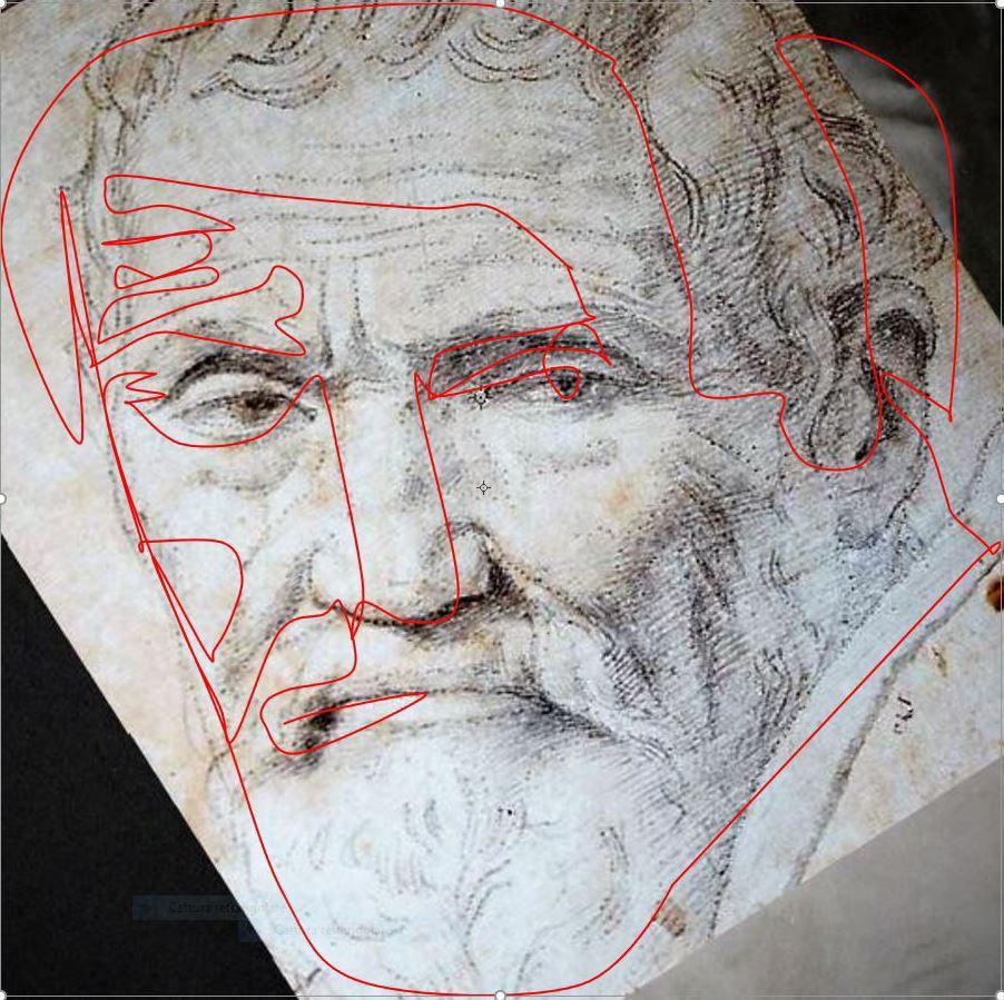 Un volto di Michelangelo