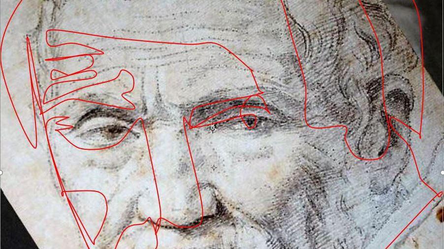 Un volto di Michelangelo