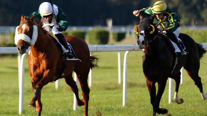 Zollikon imprendibile nel premio Rieti, handicap di livello sul prato degli Escoli