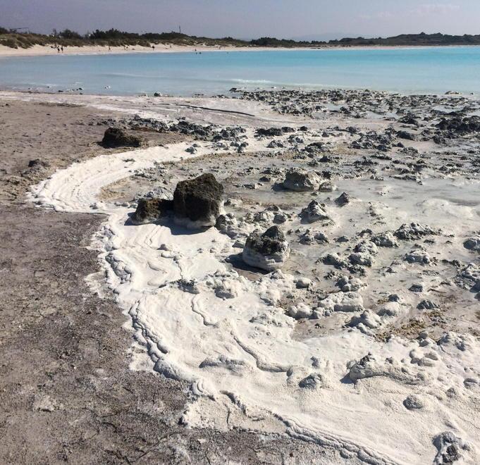 «Nelle schiume del Lillatro nessun elemento di tossicità» 