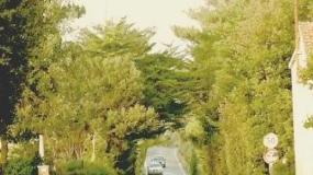 Via di Serragrande, proprio nel punto con la strettoia in cui la strada verrà risistemata