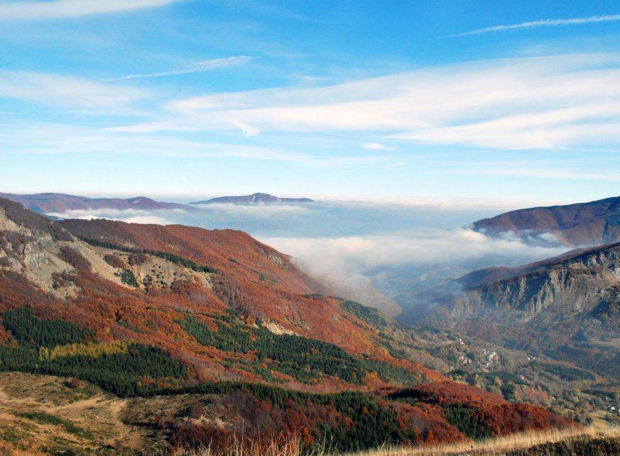 Sulle tracce di cervi e lupi Ecco i trekking in Appennino