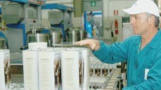 <strong>OLMA. </strong>Addetti al lavoro nell’ azienda a Braccagni ora nasce una grossa società per il commercio dell’olio
