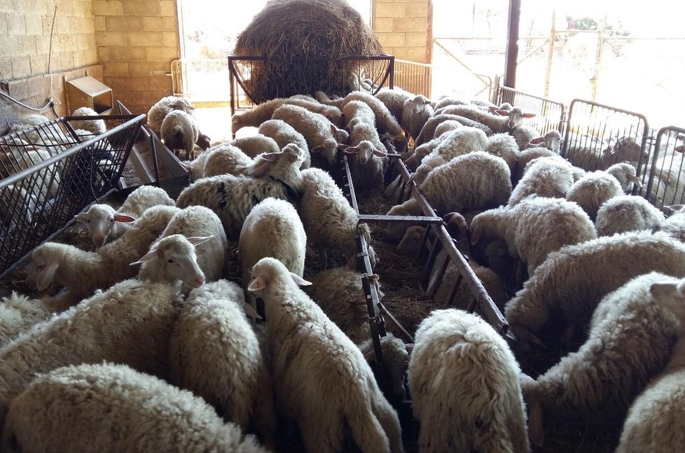  “Fuga” di Granarolo dal latte grossetano 