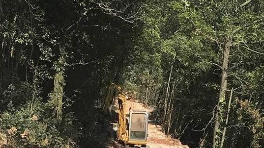 Strada nel bosco, archiviata l’indagine a carico di Cristini