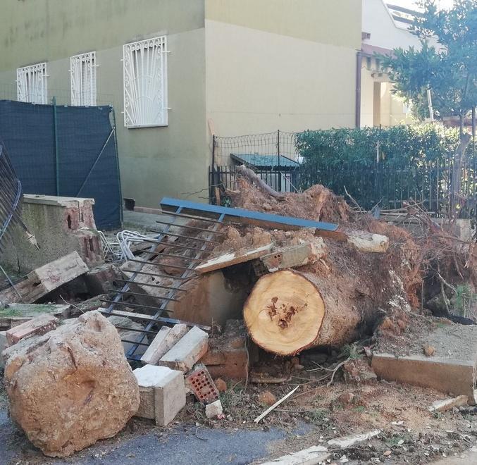 Condominio “intrappolato” dagli alberi 