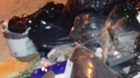 Via Enriques ripulita. Ma subito torna discarica