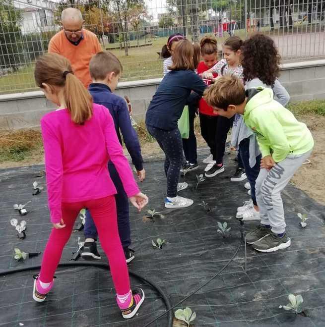 “Orto in condotta” Una pagella molto verde per i bimbi agricoltori 