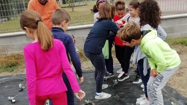 “Orto in condotta” Una pagella molto verde per i bimbi agricoltori